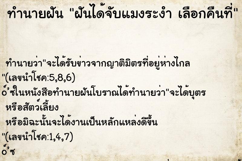 ทำนายฝัน ฝันได้จับแมงระงำ เลือกคืนที่